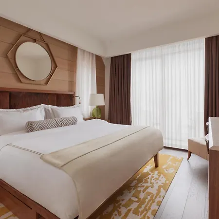 Viceroy Serbia 호텔 5*