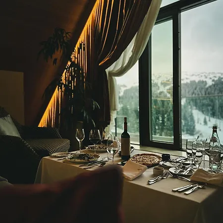 Viceroy Serbia 호텔 카파오닉